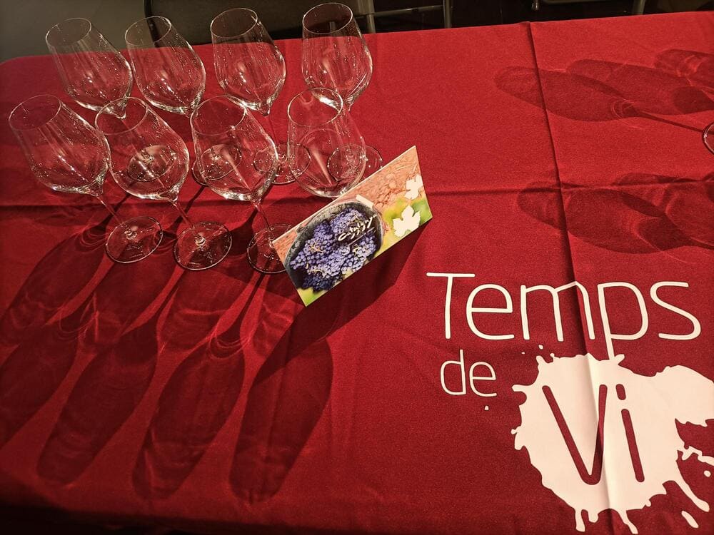 Temps de Vi 2025